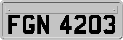 FGN4203