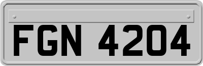 FGN4204