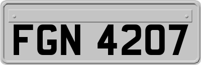 FGN4207