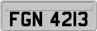 FGN4213