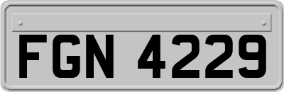 FGN4229