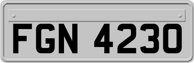 FGN4230