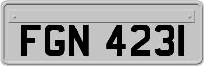 FGN4231