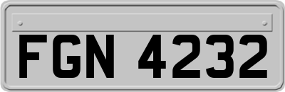 FGN4232