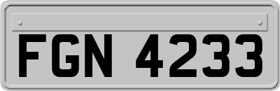 FGN4233