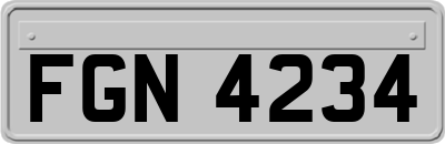 FGN4234