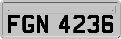 FGN4236