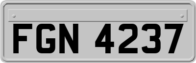 FGN4237