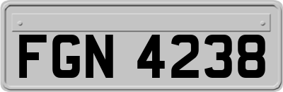 FGN4238