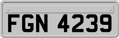 FGN4239