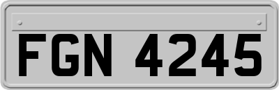 FGN4245
