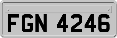 FGN4246