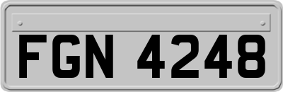 FGN4248
