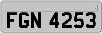 FGN4253