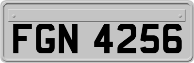 FGN4256