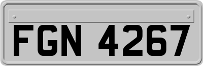 FGN4267