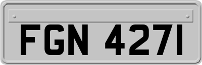 FGN4271