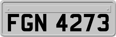 FGN4273