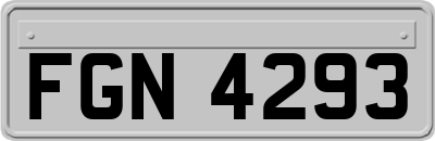 FGN4293