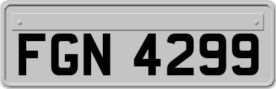FGN4299