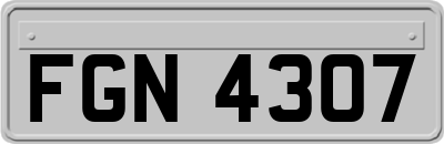 FGN4307