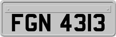 FGN4313