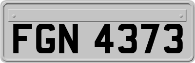 FGN4373