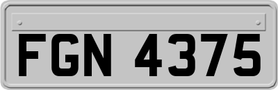 FGN4375