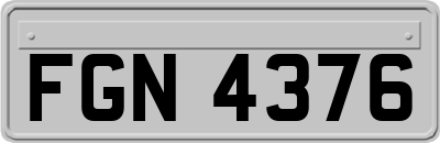 FGN4376