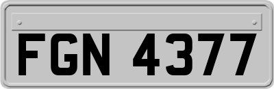 FGN4377