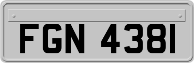 FGN4381