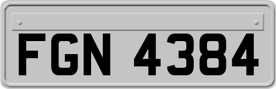 FGN4384