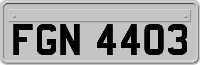 FGN4403