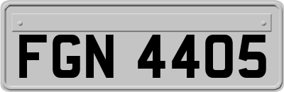 FGN4405