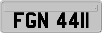 FGN4411
