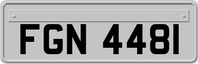 FGN4481