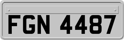 FGN4487