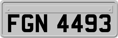 FGN4493