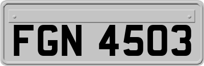 FGN4503