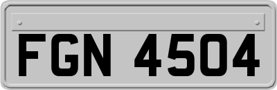 FGN4504