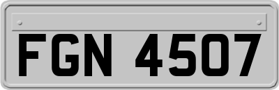 FGN4507
