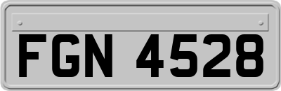 FGN4528