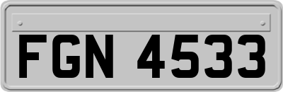 FGN4533