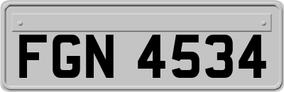 FGN4534