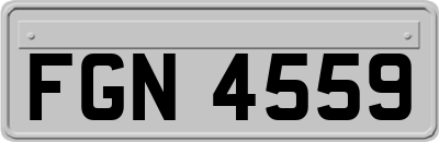 FGN4559