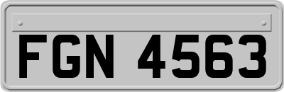 FGN4563