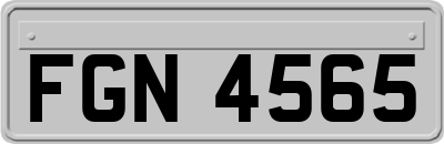 FGN4565