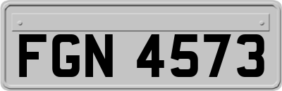 FGN4573