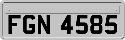 FGN4585