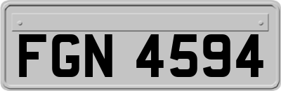 FGN4594